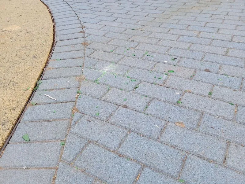 MONCALIERI - Vetri rotti, bottiglie vuote e persino un carrello della spesa: vandalizzato il Giardino della luna - FOTO
