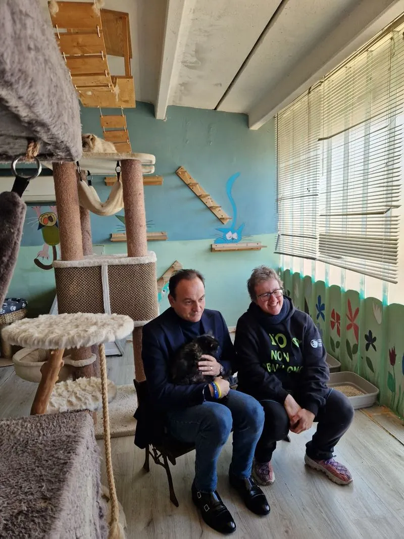 MONCALIERI - Giornata nazionale del gatto, Cirio visita il rifugio «L'albero di Mais» - FOTO