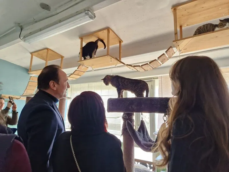 MONCALIERI - Giornata nazionale del gatto, Cirio visita il rifugio «L'albero di Mais» - FOTO