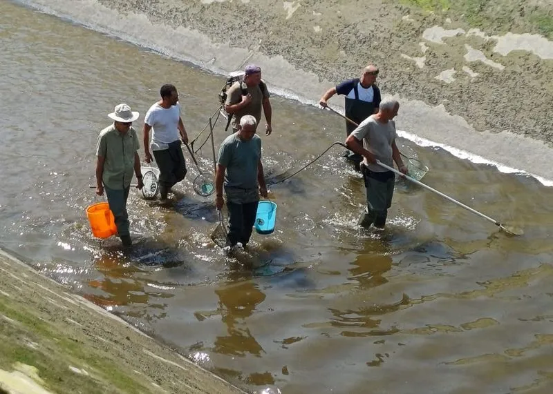 MONCALIERI-LA LOGGIA - Tutelati i pesci: rimossi i rifiuti presenti lungo il canale - FOTO