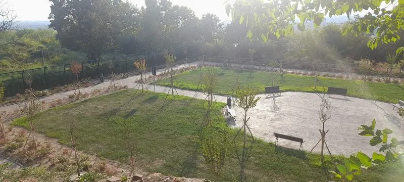 MONCALIERI - Parco del castello, alberi secchi e viale poco curato: lamentele dei cittadini - FOTO