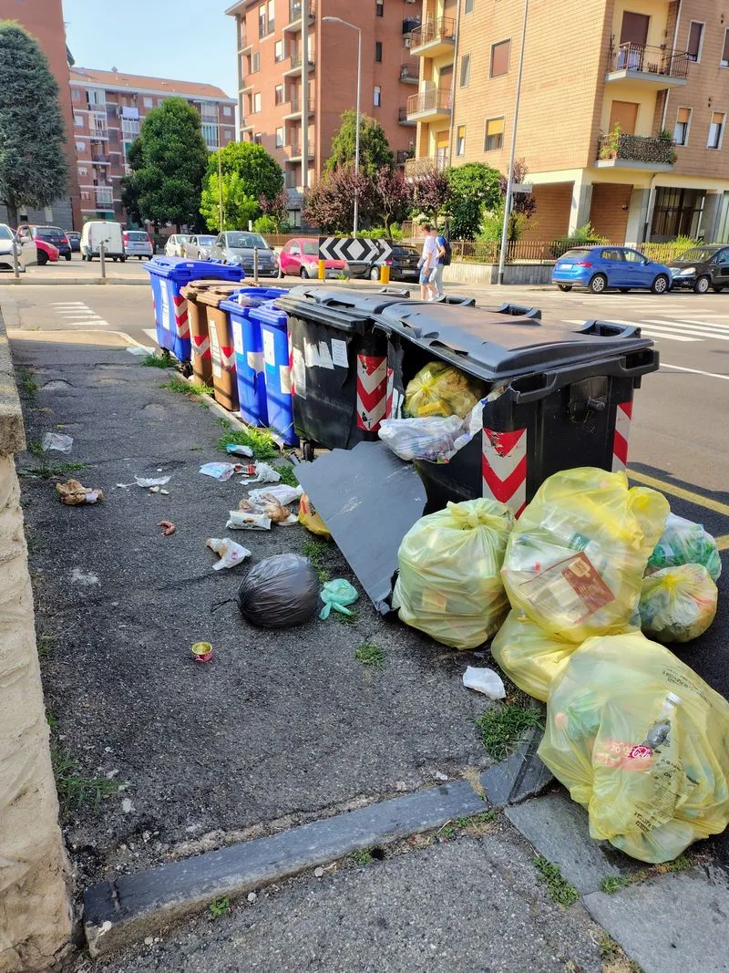 MONCALIERI - Erbacce ad ostruire il marciapiede, cassonetti rotti e rifiuti gettati ovunque: fioccano lamentele in via Ponchielli - FOTO