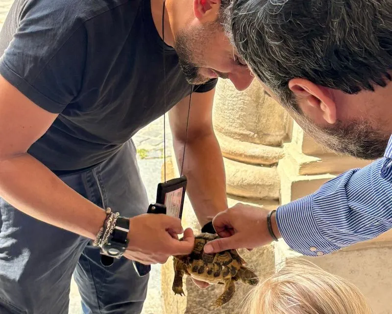 MONCALIERI - Due turisti inglesi hanno salvato una tartaruga: il plauso del sindaco Montagna