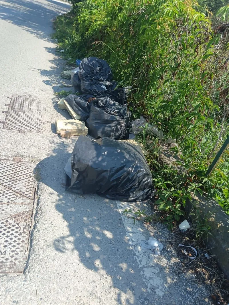 MONCALIERI - Via Molino del pascolo e l'area che porta a Decathlon insozzate di rifiuti - FOTO