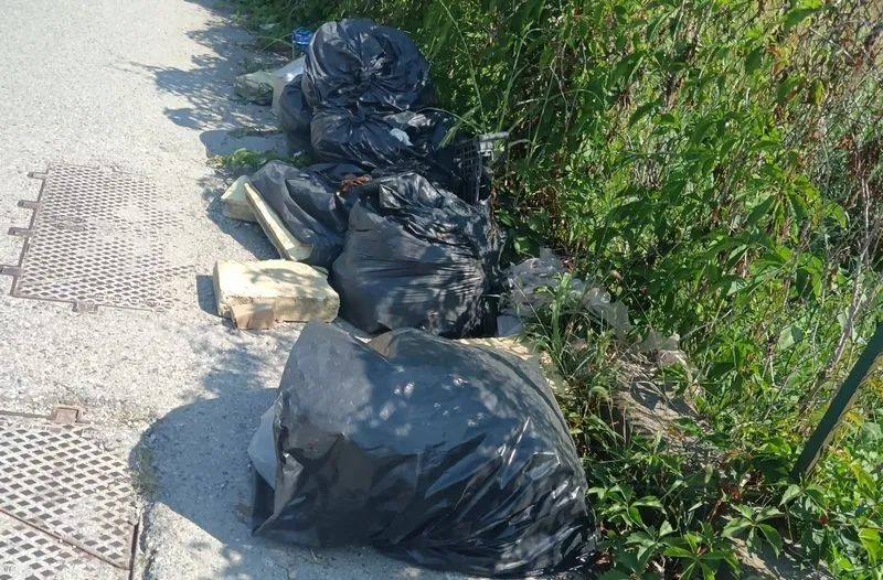 MONCALIERI - Via Molino del pascolo e l'area che porta a Decathlon insozzate di rifiuti - FOTO