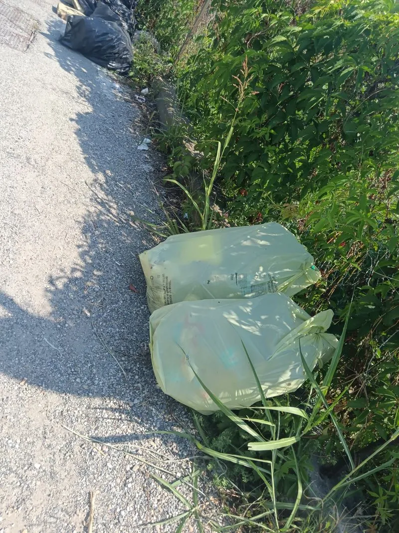 MONCALIERI - Via Molino del pascolo e l'area che porta a Decathlon insozzate di rifiuti - FOTO
