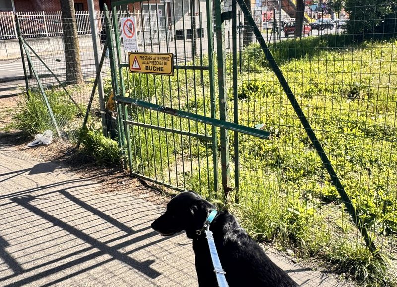 NICHELINO - Area cani di via Primo Maggio: consegnate al Comune 311 firme della petizione popolare