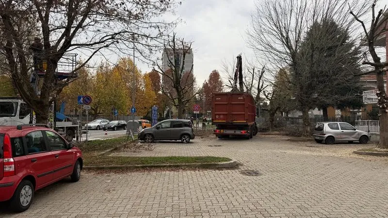 NICHELINO - Parcheggiano nonostante il divieto e fanno ritardare le potature degli alberi: «Mancanza di rispetto per il lavoro altrui»