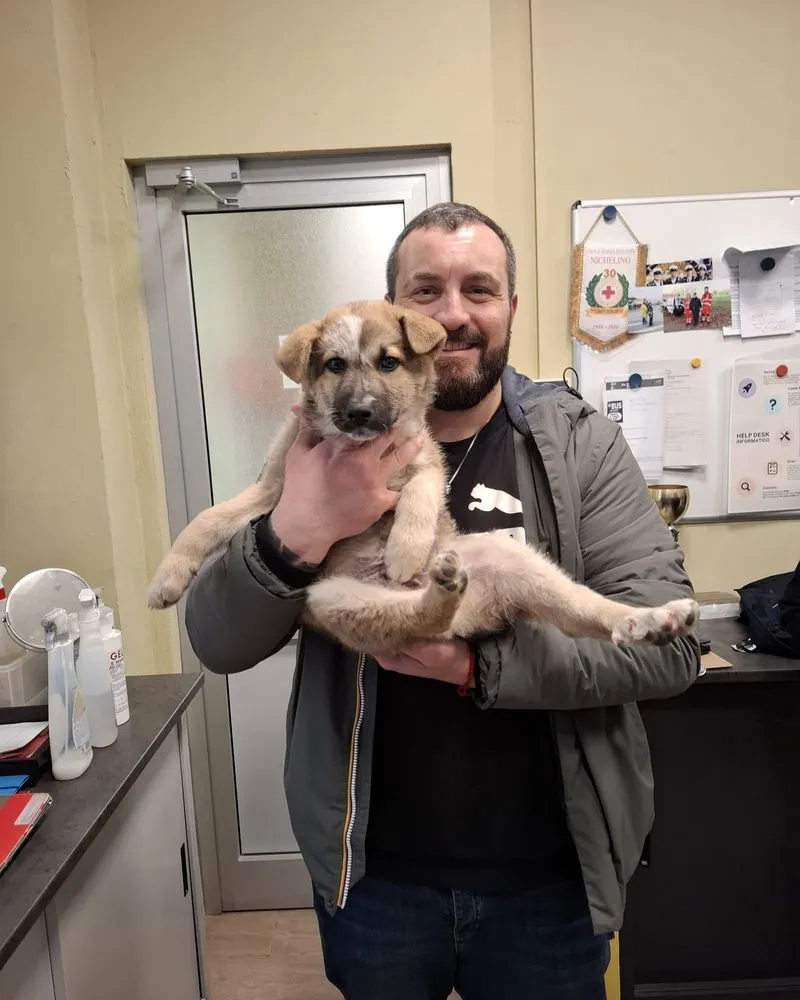 NICHELINO - Cucciolo di cane trovato sotto i bidoni dell'immondizia: Babbo cerca la sua famiglia - FOTO