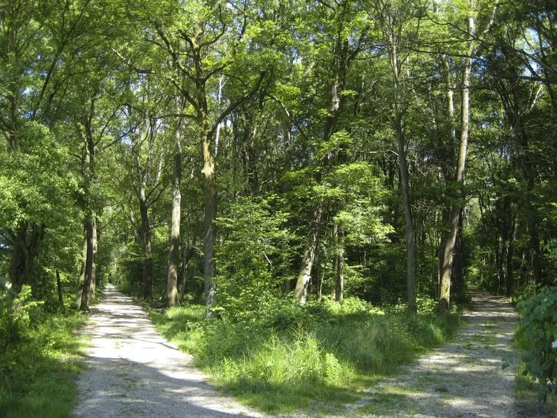 NICHELINO-BEINASCO - Una task force contro il degrado del Parco di Stupinigi