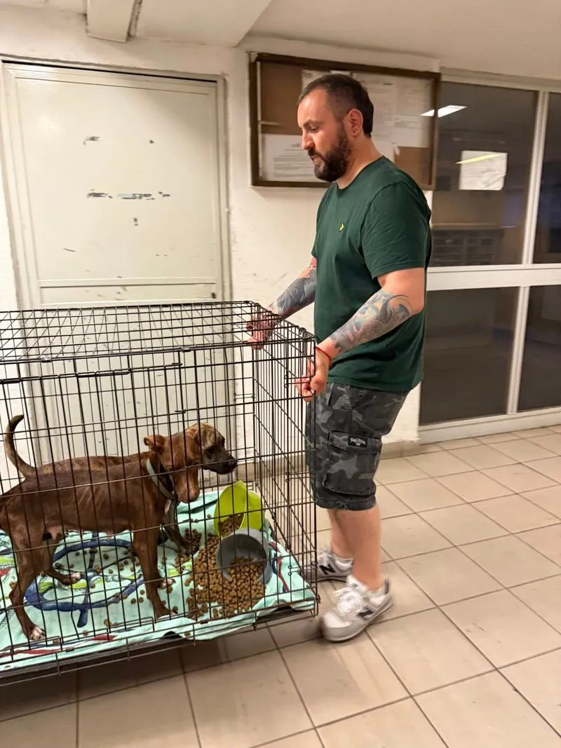 NICHELINO - Il proprietario è in carcere e loro restano in casa senza cibo e acqua: due cani salvati - FOTO