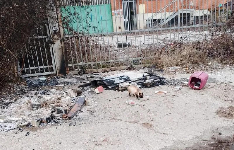 NICHELINO - Data alle fiamme e distrutta una colonia felina durante la notte di Capodanno - FOTO