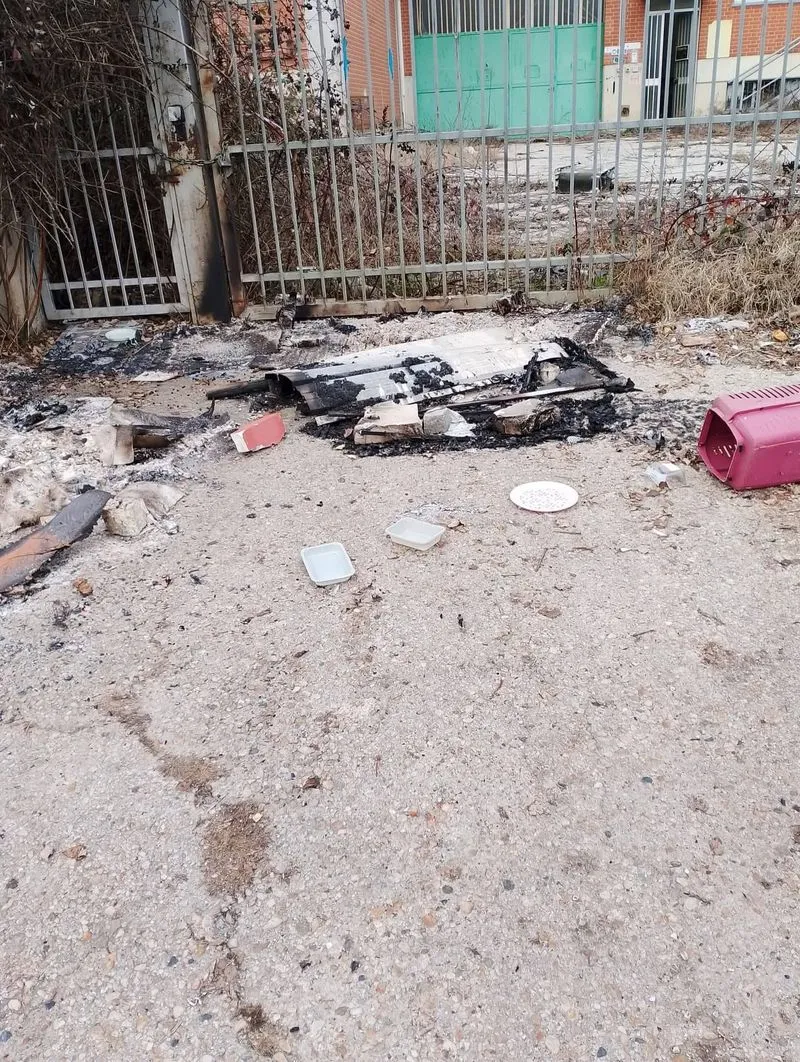 NICHELINO - Data alle fiamme e distrutta una colonia felina durante la notte di Capodanno - FOTO