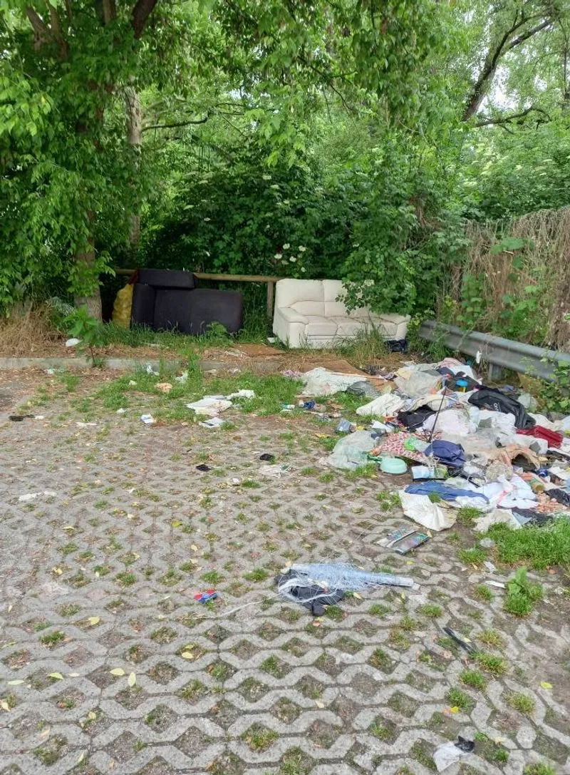 NICHELINO - Rifiuti abbandonati davanti al centro commerciale, il Comune: «Invitati i privati a pulire periodicamente l'area»