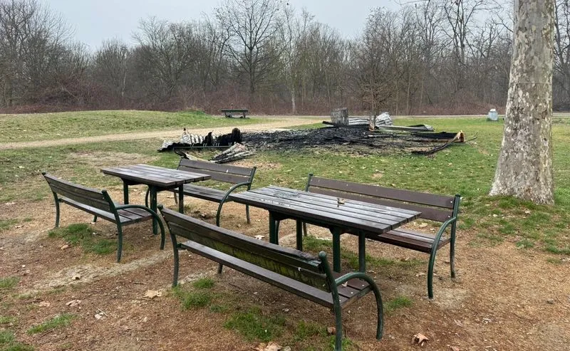 NICHELINO - Incendio nel parco Boschetto, distrutta dalle fiamme una delle casette di legno