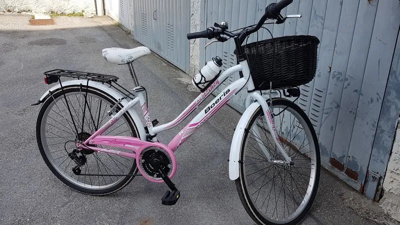 NICHELINO - Ladri di biciclette in azione, appello social della proprietaria: «Aiutatemi a ritrovarla»