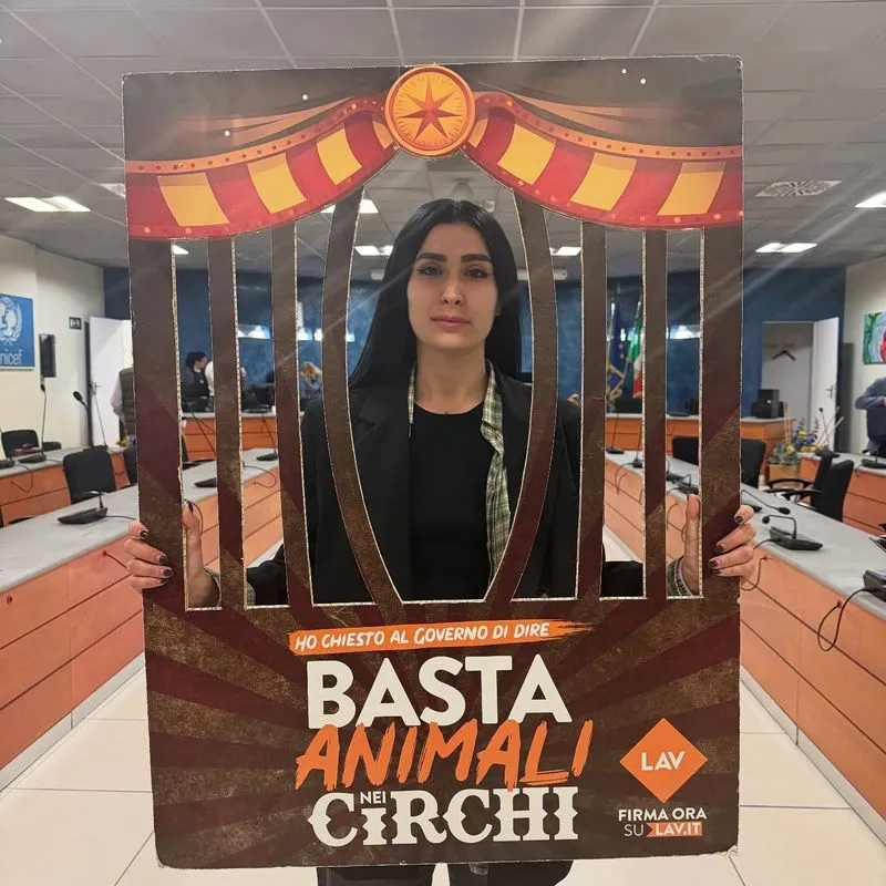 NICHELINO - Il Consiglio comunale dice «basta agli animali negli spettacoli circensi»