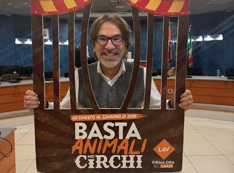NICHELINO - Il Consiglio comunale dice «basta agli animali negli spettacoli circensi»