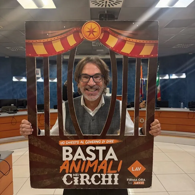 NICHELINO - Il Consiglio comunale dice «basta agli animali negli spettacoli circensi»