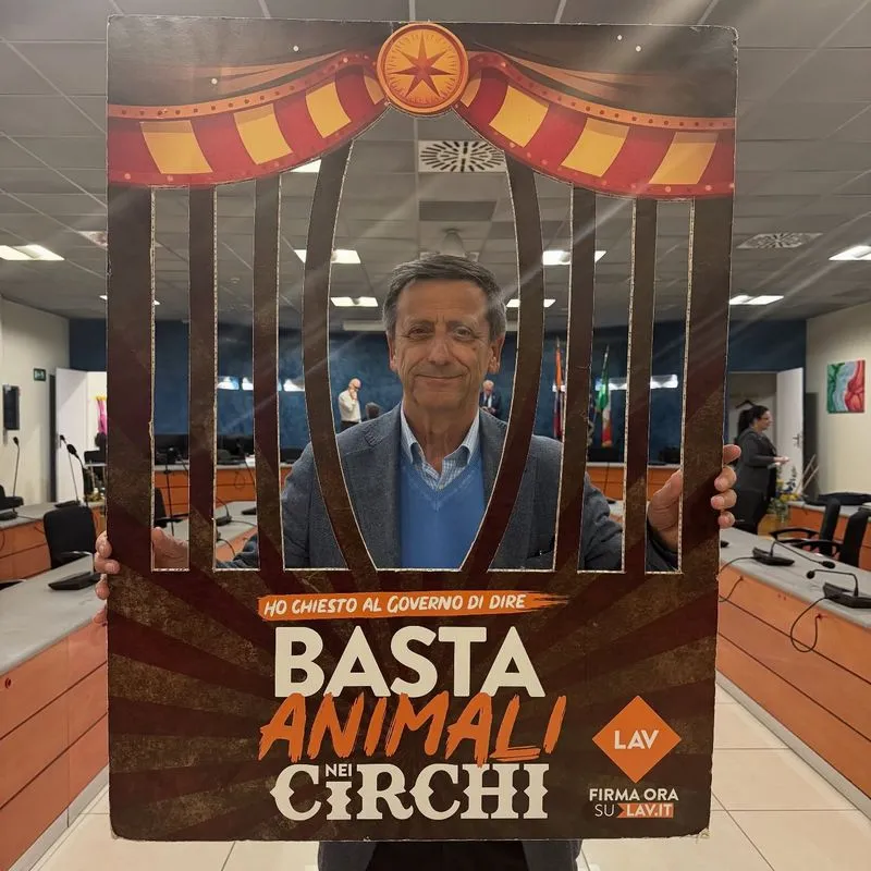 NICHELINO - Il Consiglio comunale dice «basta agli animali negli spettacoli circensi»
