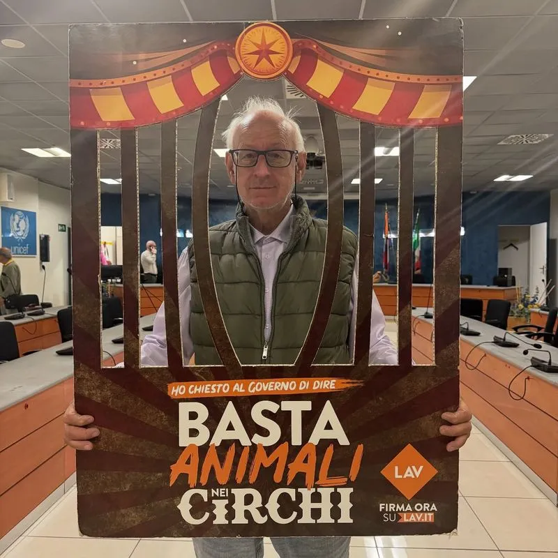 NICHELINO - Il Consiglio comunale dice «basta agli animali negli spettacoli circensi»