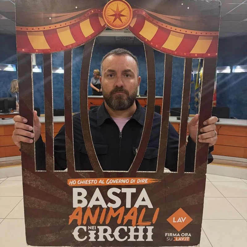 NICHELINO - Il Consiglio comunale dice «basta agli animali negli spettacoli circensi»