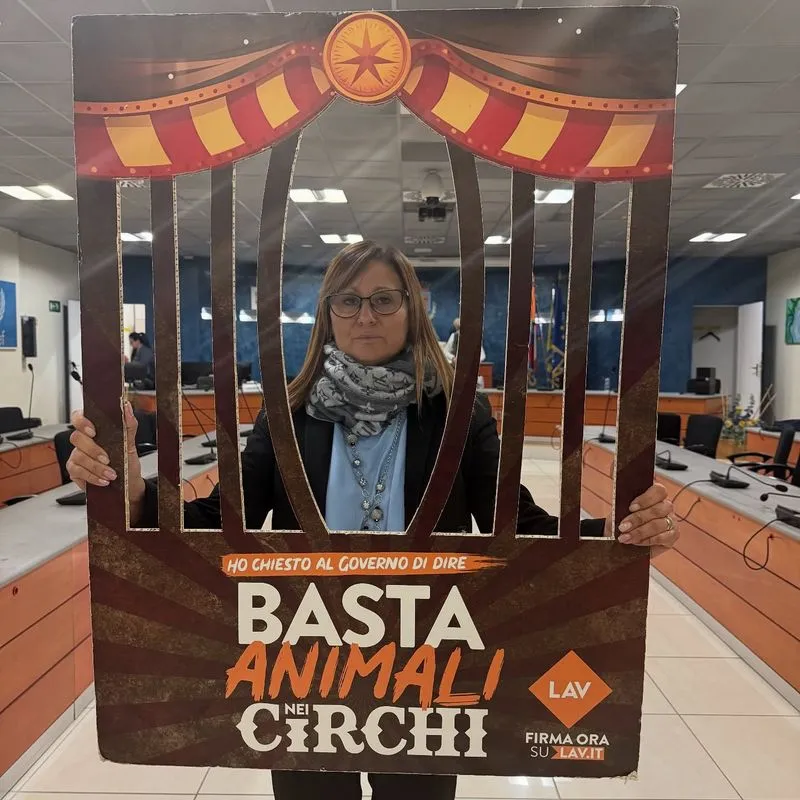 NICHELINO - Il Consiglio comunale dice «basta agli animali negli spettacoli circensi»