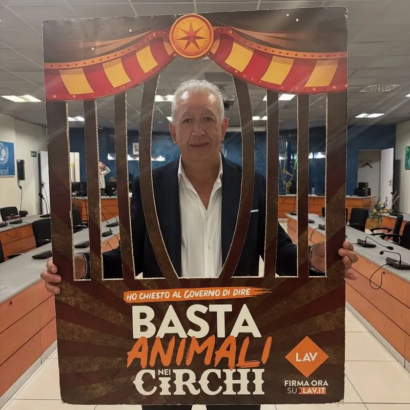 NICHELINO - Il Consiglio comunale dice «basta agli animali negli spettacoli circensi»