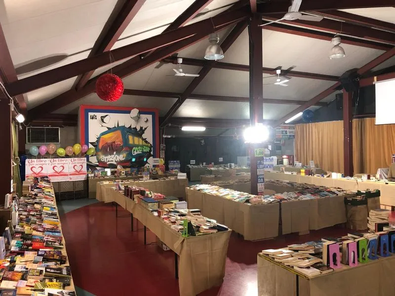 NICHELINO - Come sempre nel periodo di Carnevale, torna il «Salone del Libro Usato»