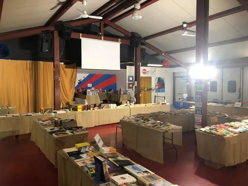 NICHELINO - Come sempre nel periodo di Carnevale, torna il «Salone del Libro Usato»