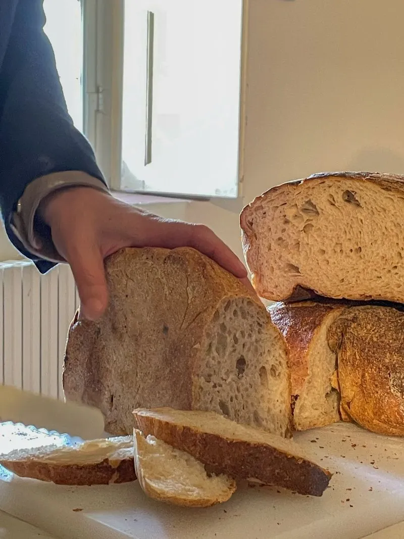 NICHELINO - Presentati la nuova pasta e il nuovo pane della filiera della farina del grano di Stupinigi - FOTO