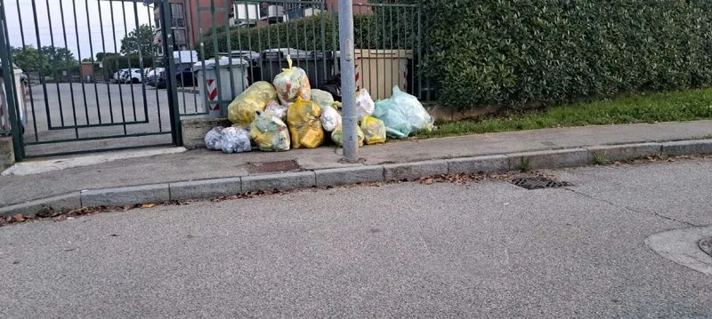 NICHELINO - Covar 14 ha concluso i monitoraggi sulla raccolta rifiuti: «Cittadini nichelinesi promossi per l'impegno» - FOTO