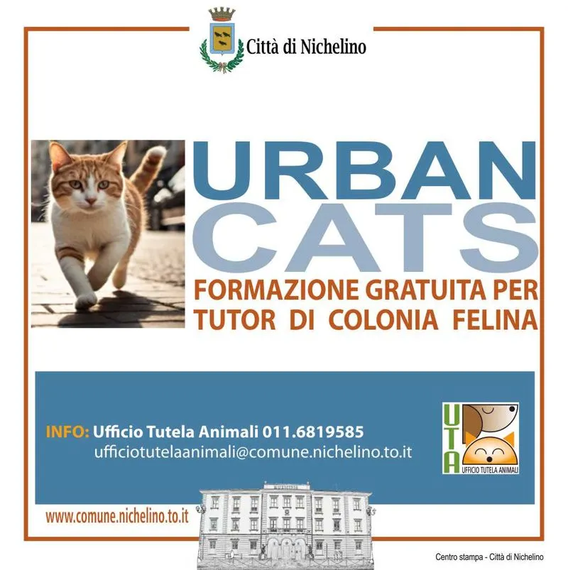 NICHELINO - «Urban cats», formazione gratuita per tutor di colonia felina