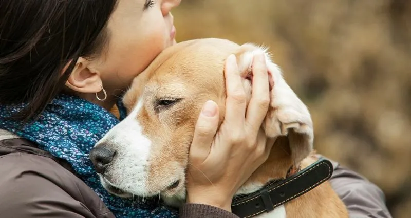 NICHELINO - Un gesto di civiltà: adesso sarà possibile essere seppelliti con il proprio cane o gatto