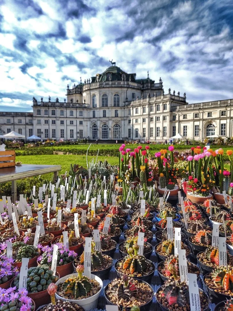 STUPINIGI - Nel mese di ottobre la palazzina di caccia celebra i suoi prodotti, il parco e i fiori