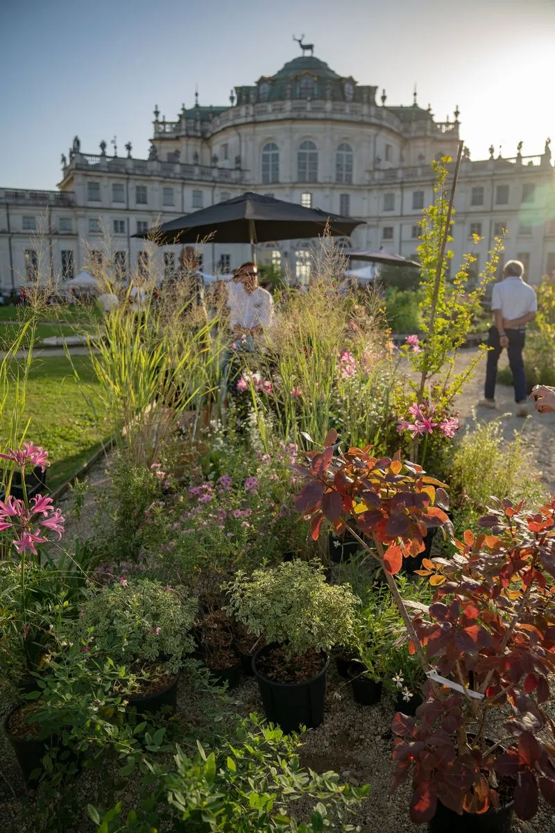 STUPINIGI - Nel mese di ottobre la palazzina di caccia celebra i suoi prodotti, il parco e i fiori