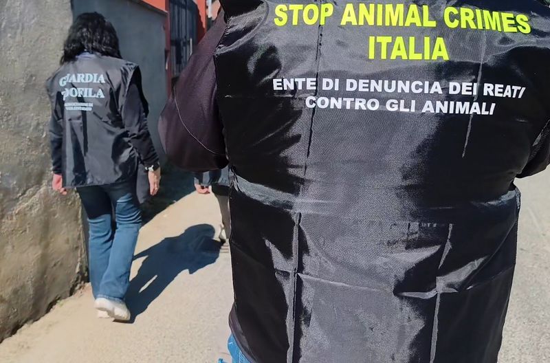 ORBASSANO - Cane e gatto segregati in un garage, salvati dalle guardie zoofile - FOTO