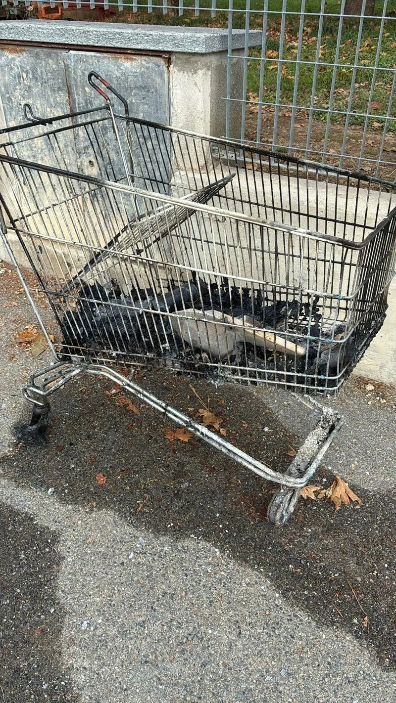 ORBASSANO - Giovani vandali scatenati ad Halloween, la sindaca: «Comportamenti senza senso»