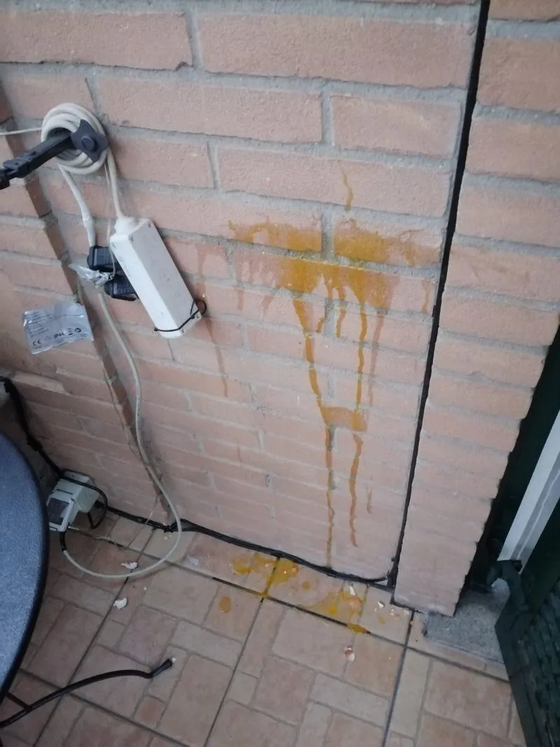 ORBASSANO - Giovani vandali scatenati ad Halloween, la sindaca: «Comportamenti senza senso»