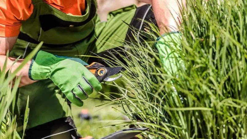 ORBASSANO - Cantieri lavoro, sei posti per manutenzioni di orti sociali e giardini pubblici