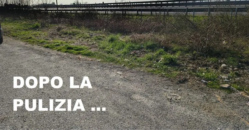 ORBASSANO - Ecovolontari al lavoro: ripulita dai rifiuti strada antica di None - FOTO
