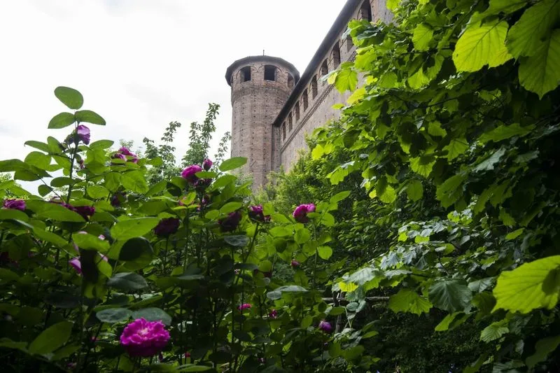 GREEN – Torino, corsi di giardinaggio a Palazzo Madama