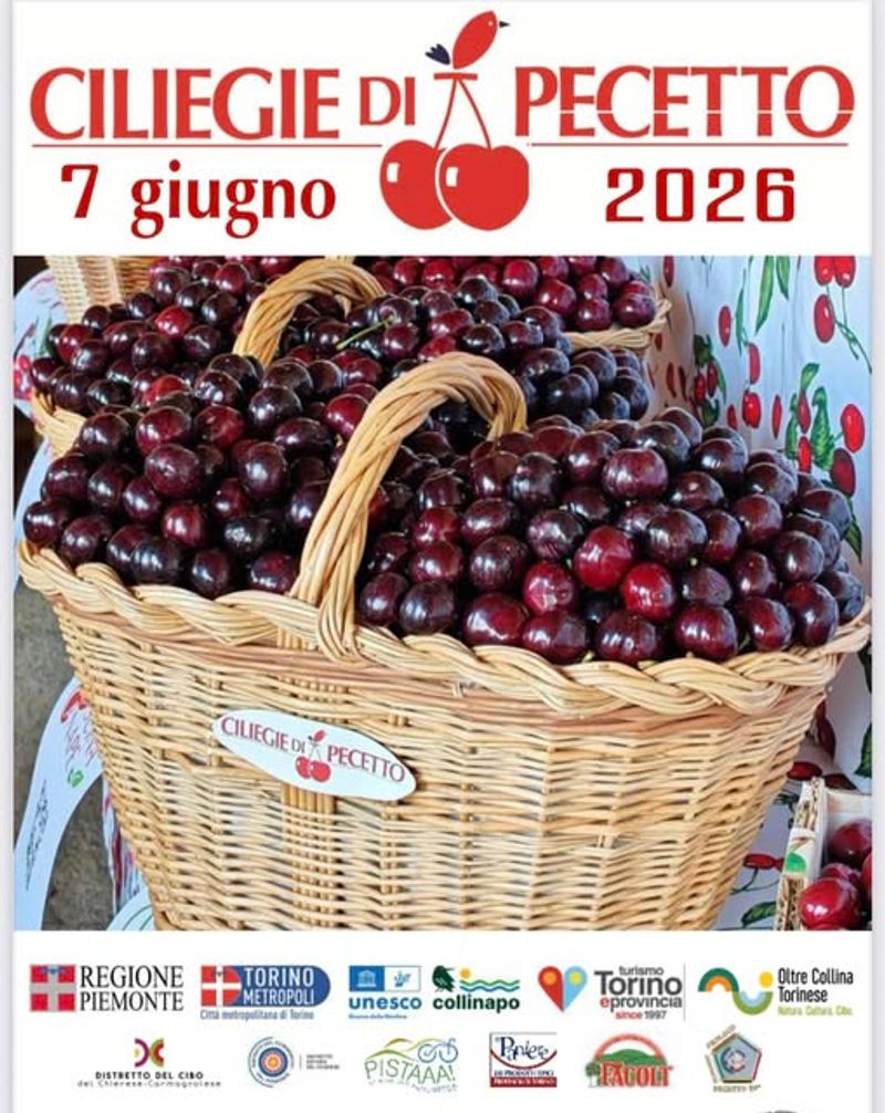 PECETTO - Tutto pronto per l'edizione numero 111 della Festa delle ciliegie