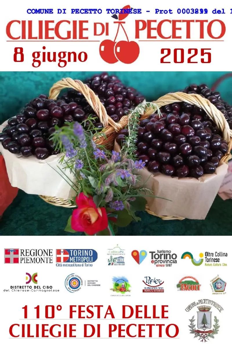 PECETTO - Tutto pronto per la Festa delle Ciliegie - FOTO