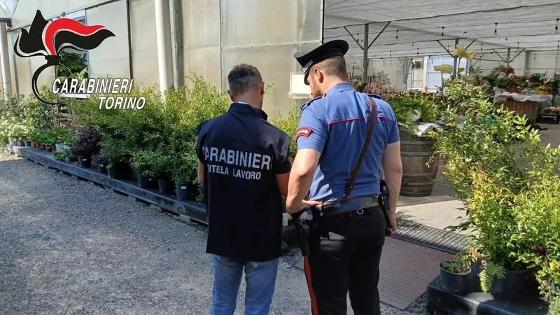 CAPORALATO E LAVORO NERO - Controlli dei Carabinieri anche nelle aziende agricole di Pianezza e Caselette - FOTO