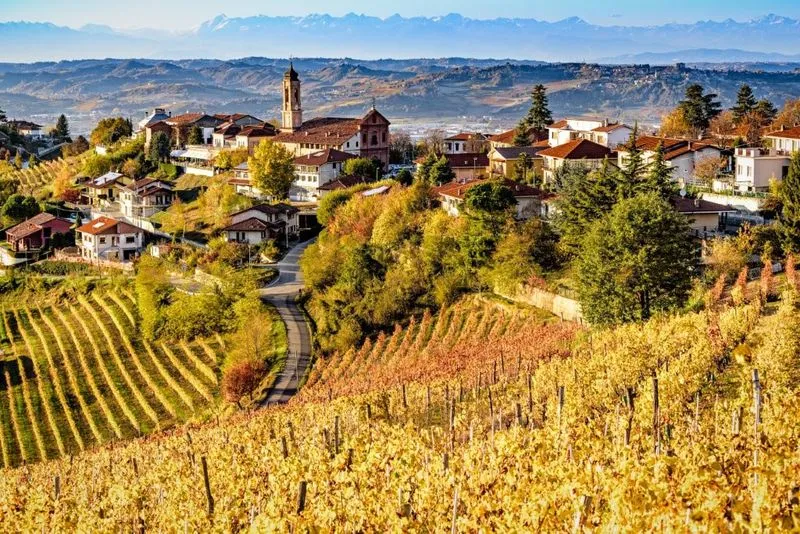 CINEMA - Nelle Langhe, Il Piemonte Documenteur Film Fest 2025