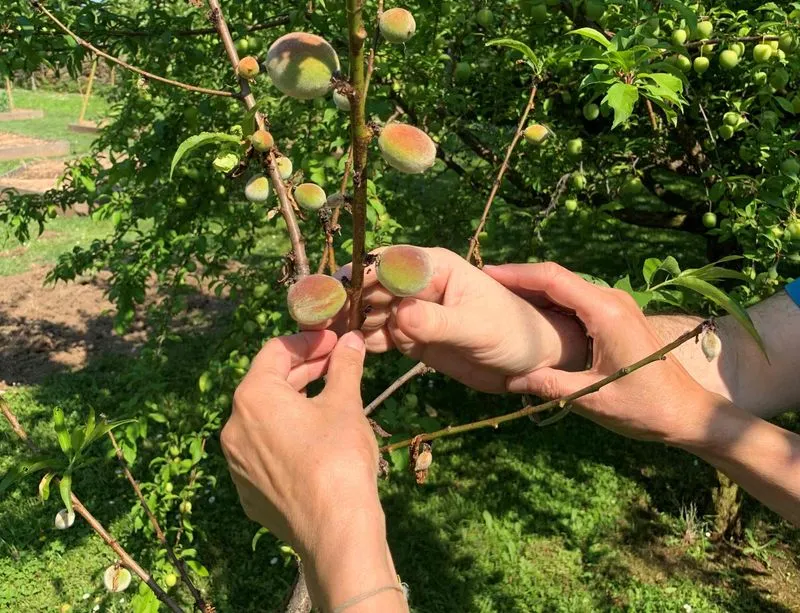 PIOSSASCO - Passeggiate sensoriali: a occhi bendati nel giardino della dimora storica