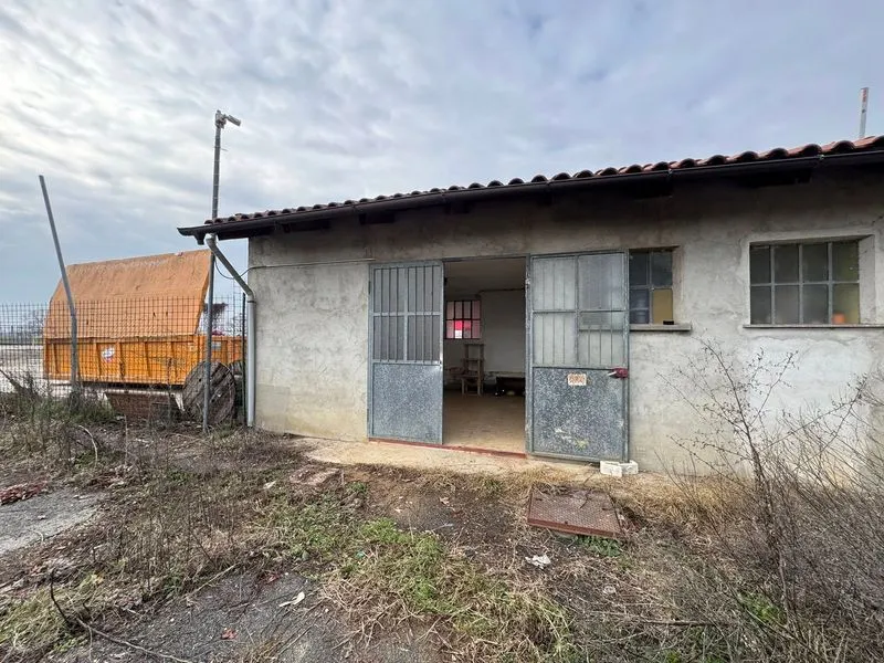 POIRINO - Una nuova casetta all'ecocentro per i gatti della colonia - FOTO