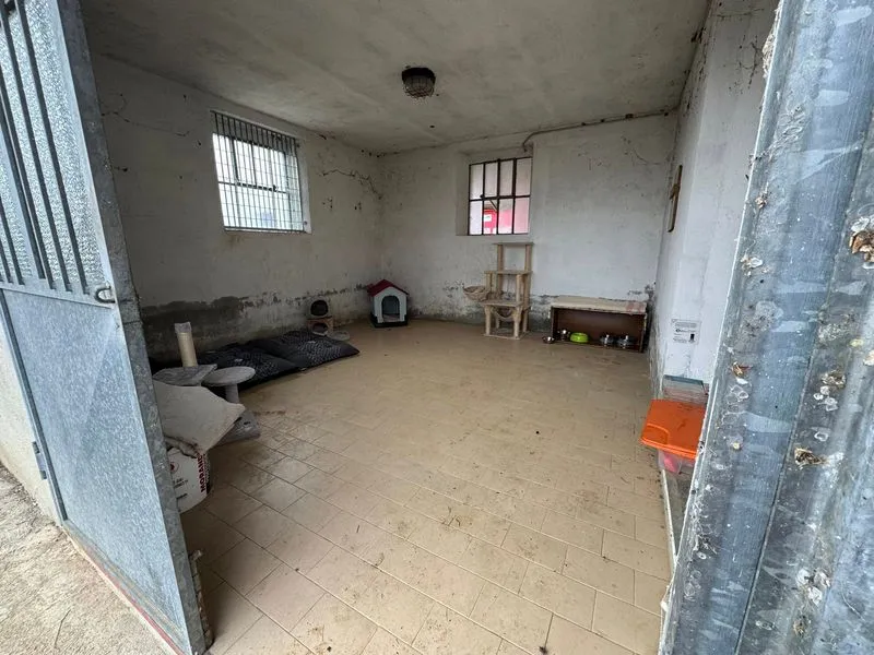 POIRINO - Una nuova casetta all'ecocentro per i gatti della colonia - FOTO