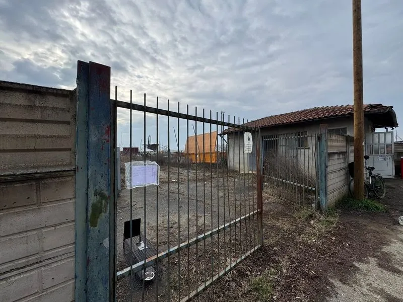 POIRINO - Una nuova casetta all'ecocentro per i gatti della colonia - FOTO